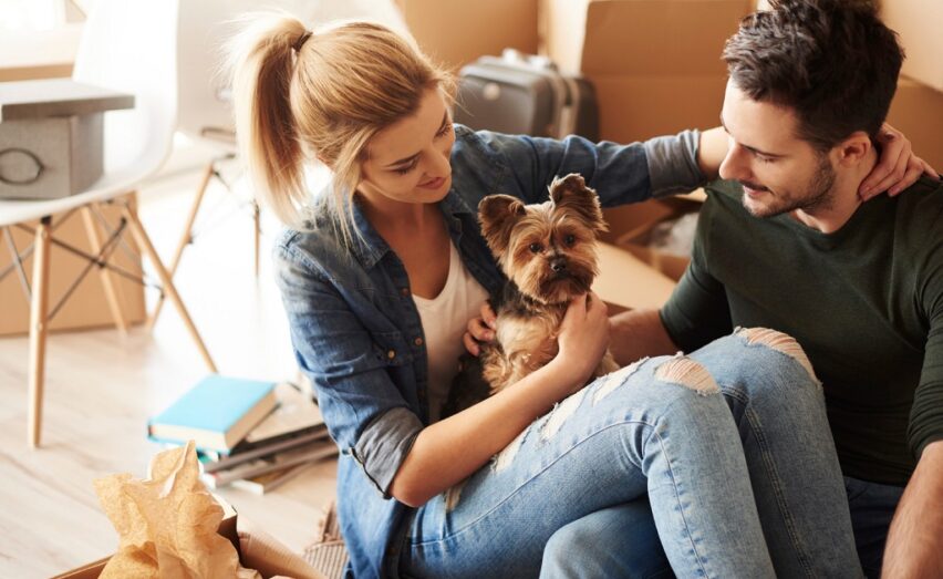 La mudanza con un perro: pequeñas recomendaciones